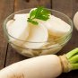 250 Seeds Daikon Radish-Fracking