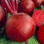 100 seeds Beets- Detroit Red