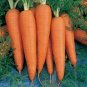 200 Seeds Carrot- Danvers