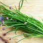 200 Seeds Chive- Herb