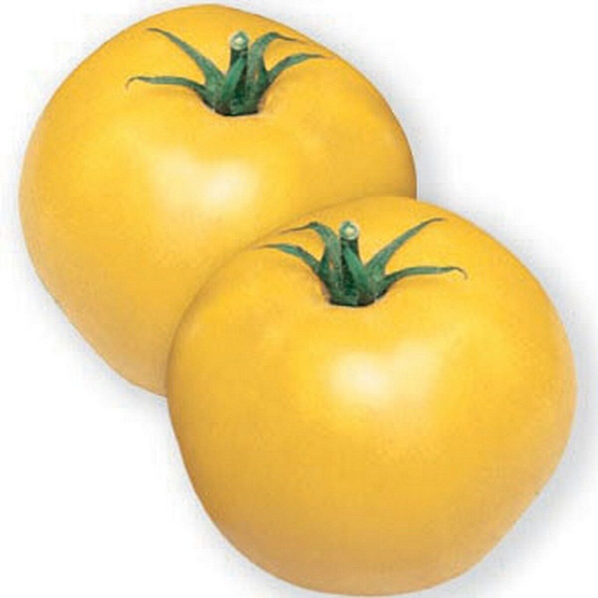 50 Seeds Tomato- Jubilee Yellow