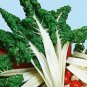 50 Seeds Swiss Chard- Fordhook