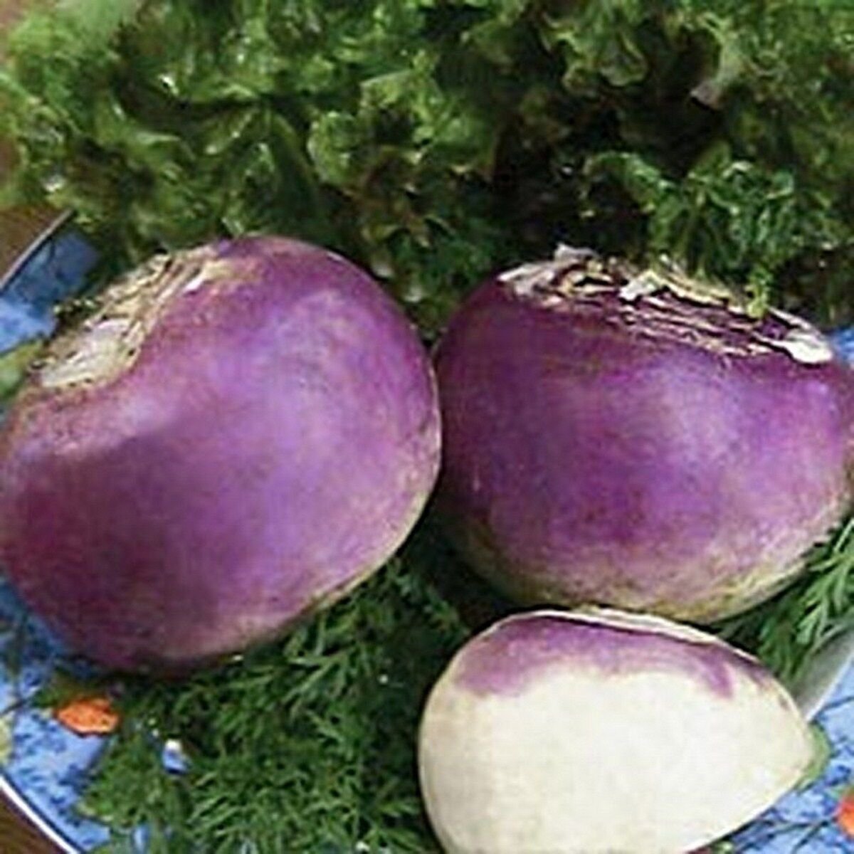 200 Seeds Rutabaga- Laurentain