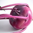 200 Seeds Kohlrabi- Purple Vienna