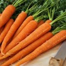 200 Seeds Carrot- Tendersweet