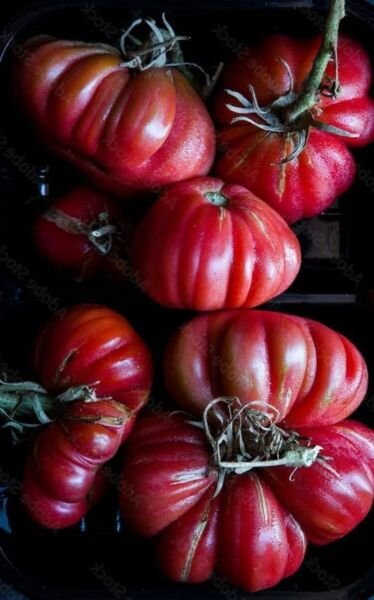 Tomato Coustralee Beefsteak Rainbow French One Of The Largest Cultivars 20 Seeds Fresh Garden