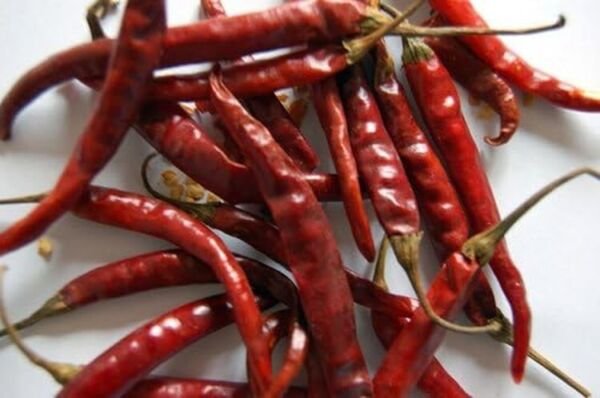 Rat's Tail Pepper Or Tree Chili Bird's Cayenne Beaks Hot Smokey Flavors 20 Seeds Fresh Garden