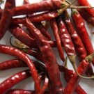 Rat's Tail Pepper Or Tree Chili Bird's Cayenne Beaks Hot Smokey Flavors 20 Seeds Fresh Garden