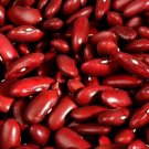 Bean Kidney Shape Red Dark Great Bush Good Yields Heirloom Easy To Grow 100 Seed Fresh Garden