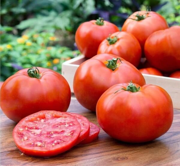 Tomato Boy Better Rich In Vitamins &Icirc;�nd &Icirc;�ntioxidants Are High In Fiber 35 Seeds Fresh Garden