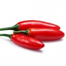 Pepper Capsicums Annuum Heirloom Tampiquenos Populars Serrano Chile 400 Mg Seeds Fresh Garden