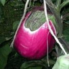 Eggplants Solanums Melongenas Tender Color Heirlooms Bell Shaped Fruits 50 Seeds Fresh Garden