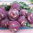 Kohlrabi White Viennas Purplish Skin Leaves Slightlys Large Size 2 Grams Seeds Fresh Garden