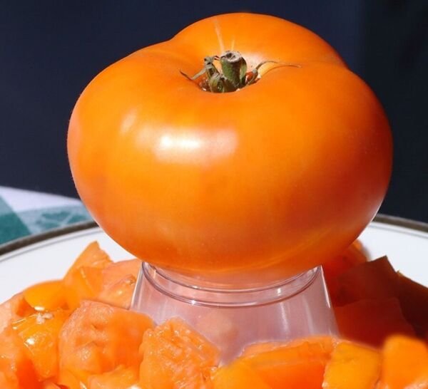 Tomatos Red Yellow Brandywines Poles Organic Filled With Flavors 200 Mgs Seeds Fresh Garden