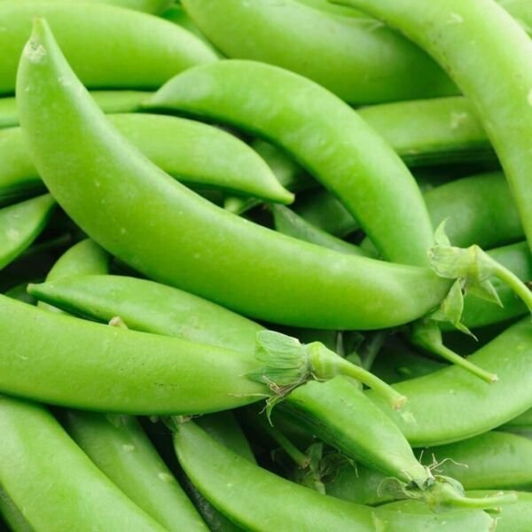 Peas Sugars Organics Snaps Crunchys The Pods Are Crisp Sweet And Tender 50 Grams Fresh Garden