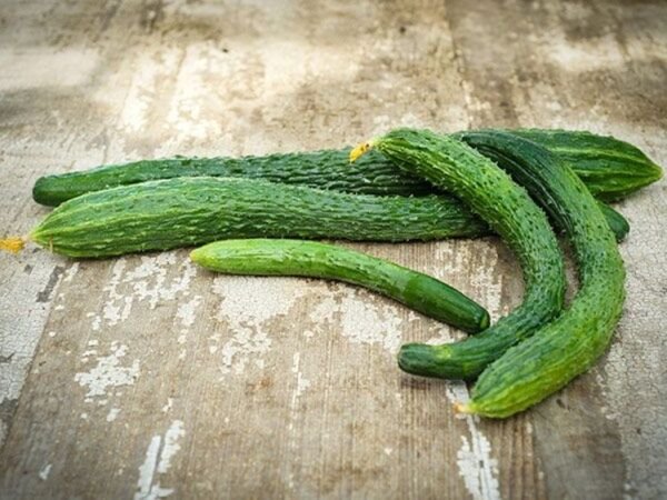 Cucumbers Cucumis Sativus Longs Suyos Excellent Almost Seedless Organic 25 Seeds Fresh Garden