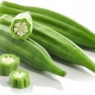 Okra Spineless Pods Cut Perfectly Round Resemble Little Wagon Wheels 100 Seeds Fresh Garden