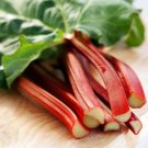 Rhubarb Red Victoria Perennial Taste Has A Bit Of Wine Flavor To It Easy 25 Seed Fresh Garden