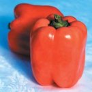 Peppers Orange Good Yields Square Shapes Sweet Capsicum Annuum Valencia 10 Seeds Fresh Garden