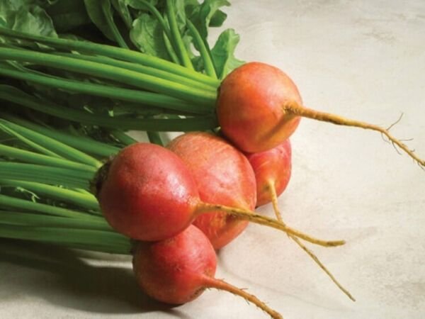 Touchstone Beet Organic Gold Milder Than Red Beets With Sweet Flavor 1 Gram Seed Fresh Garden