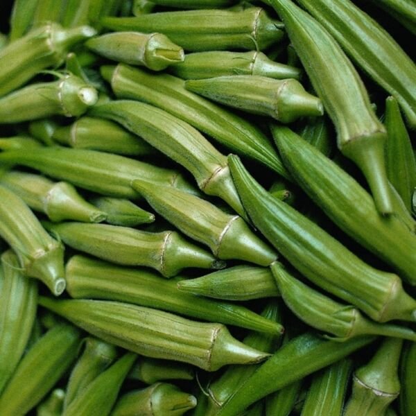 Clemsons Spineless Organic Easy To Grow Full Bodied Flavor 80 Okra Seeds 4 Grams Fresh Garden