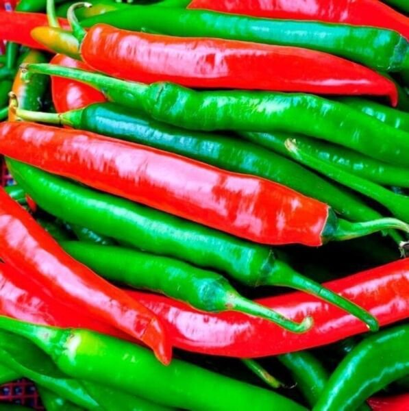 Hot Peppers Horns Hottests Goats Habaneros Should Be Eaten With Caution 20 Seeds Fresh Garden