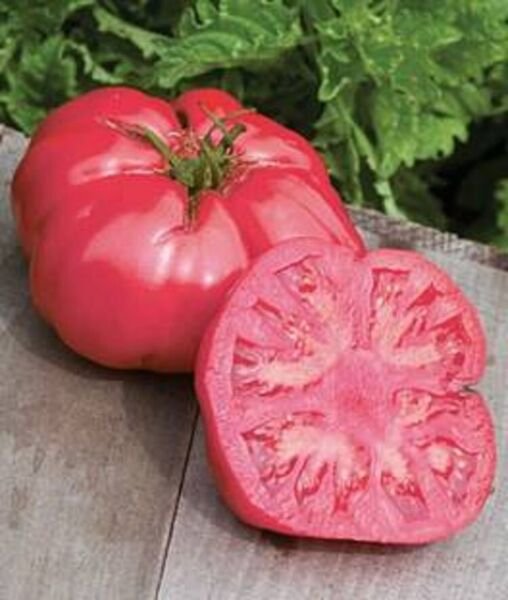 Tomato Beefsteak Omar's Lebanese Heirloom Growns In A Rainbow Of Colors 35 Seeds Fresh Garden