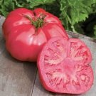 Tomato Beefsteak Omar's Lebanese Heirloom Growns In A Rainbow Of Colors 35 Seeds Fresh Garden