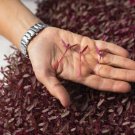 Amaranth Red Garnet Sprouting High Protein Amazing Health Benefit 10 Grams Seeds Fresh Garden