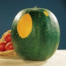 Watermelon Stars Pink Moon Citrullus Lanatus Large Oval Annual Heirloom 35 Seeds Fresh Garden