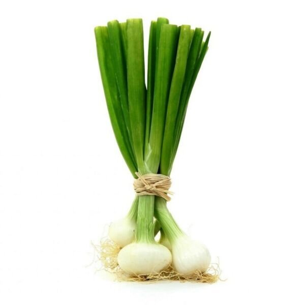 Allium Cepas Bunching Lisbon Whites Onion Juicy Sweet Green Tops 1.5 Grams Seeds Fresh Garden