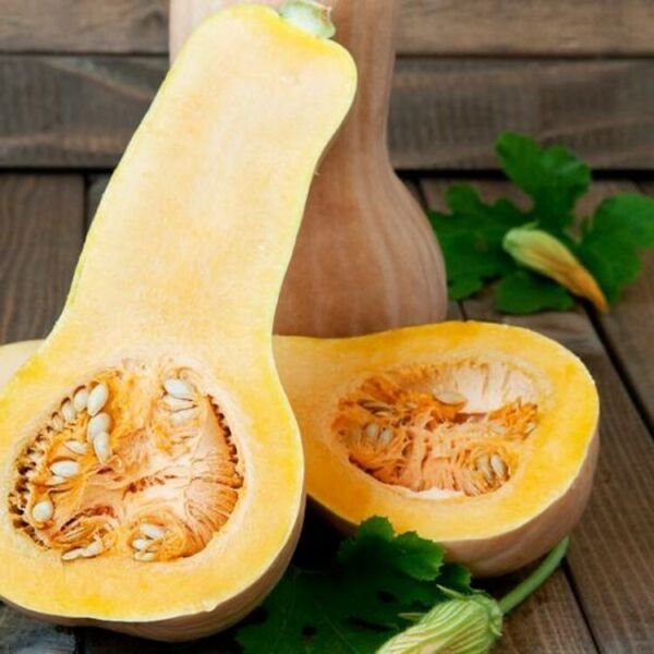 Butternuts Winter Walthams Botanical Interests Squash Sweet Flavor 4 Grams Seeds Fresh Garden
