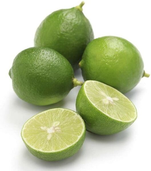 Lime Fruiting Key Size Pie Tree Very Easy To Grow Live Plant 4 X 12" Pot Fresh Garden