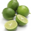 Lime Fruiting Key Size Pie Tree Very Easy To Grow Live Plant 4 X 12" Pot Fresh Garden