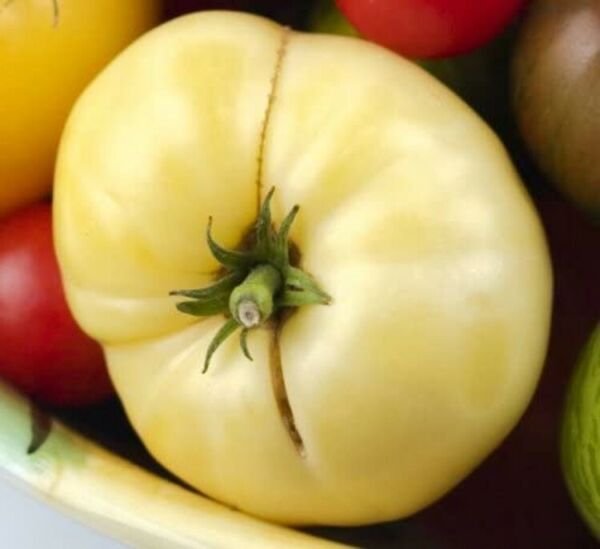 Beefsteak White Tomato Queens Sphericals Shape White One Of The Largest 20 Seeds Fresh Garden