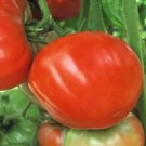 Tomato Teams Mule Sweets Mildly Rich In Vitamins And Antioxidants Green 20 Seeds Fresh Garden