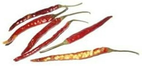 Pepper Japones Super Hot Capsicum Annuum Should Be Eaten With Caution 20 Seeds Fresh Garden