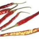 Pepper Japones Super Hot Capsicum Annuum Should Be Eaten With Caution 20 Seeds Fresh Garden