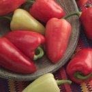 Pepper Capsicum Mildly Αnnuum Capsaicinoids Mariachi Release Endorphins 10 Seeds Fresh Garden