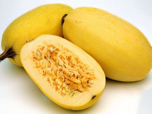 Squash Spaghetti Hasta Sweet La Pasta Offers Appealing Deep Orange Flesh 8 Seeds Fresh Garden