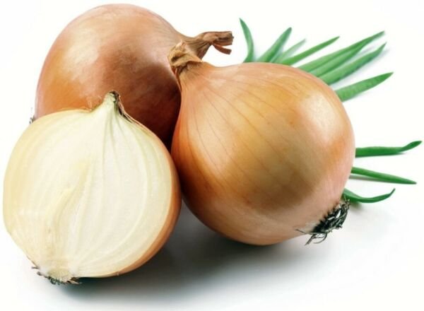 Candy Hybrid Sweet Mild Onion Incredibly Easy Growing Jumbo 50 Seeds Fresh Garden