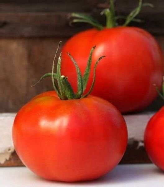 Marglobe Deliciously Sweet Tomato Miracle Heirloom Vegetable 50 Seeds Fresh Garden