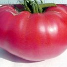 Pink Mennonite Tiffen Beefsteak Tomato - 20 Seeds Fresh Garden