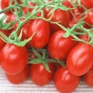 Heirloom Red Plum Tomato - 30 Seeds Fresh Garden
