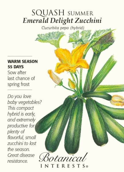 Seed Botanical Interest Emerald Delight Summer Squash Seeds 1.5 Grams Fresh Garden