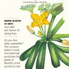 Seed Botanical Interest Emerald Delight Summer Squash Seeds 1.5 Grams Fresh Garden