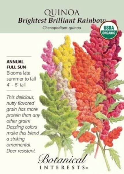Seed Rainbow Organic Brightest Brilliant Quinoa Seeds 500mg Fresh Garden