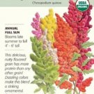 Seed Rainbow Organic Brightest Brilliant Quinoa Seeds 500mg Fresh Garden
