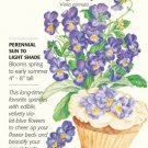 Perennial King Henry Viola Seeds 200 mg Fresh Garden