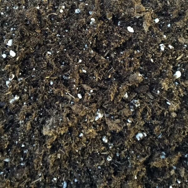 All Natural General Purpose Potting Soil loamy Mix - 8 Quart Houseplants Fresh Garden